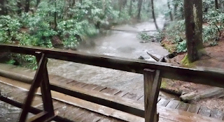Appalachian Trail - Springer Mountain